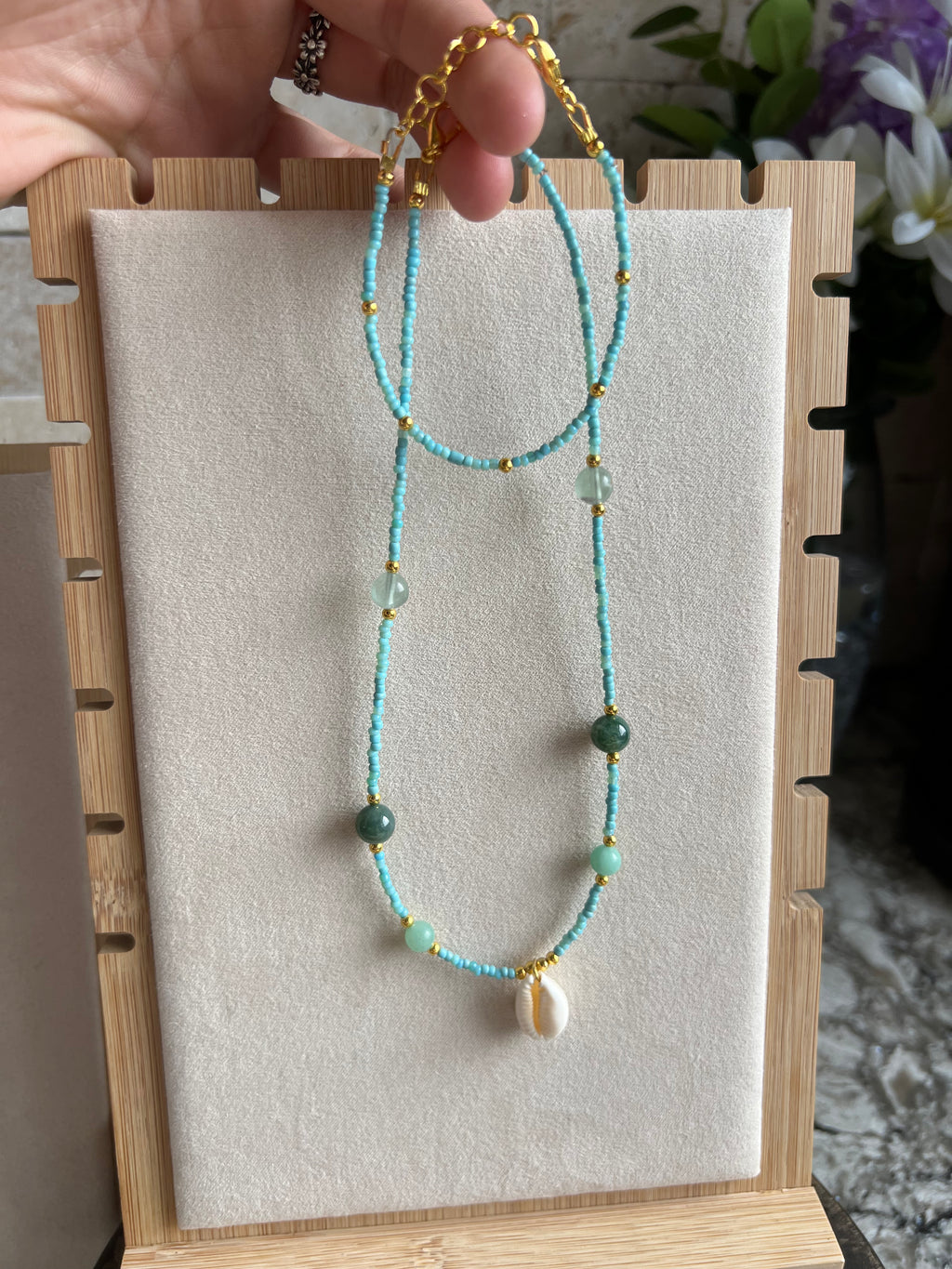 Seashell Set